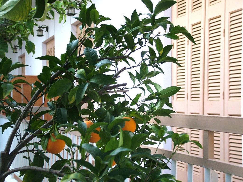 George'S Apartment Agia Marina  Номер фото